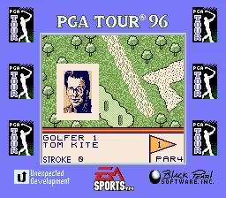 PGA Tour '96 online game screenshot 2