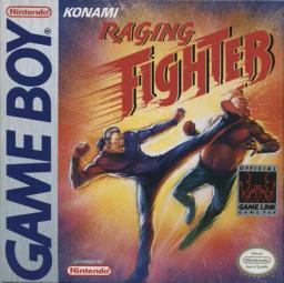 Raging Fighter-preview-image