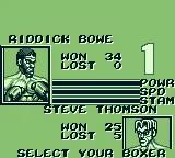 Riddick Bowe Boxing online game screenshot 3