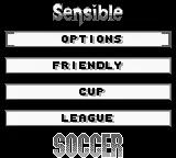 Sensible Soccer - European Champions online game screenshot 2