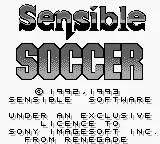 Sensible Soccer - European Champions online game screenshot 1