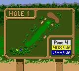 Tiger Woods PGA Tour 2000 online game screenshot 3