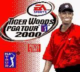 Tiger Woods PGA Tour 2000 online game screenshot 1