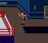 WWF Betrayal online game screenshot 3