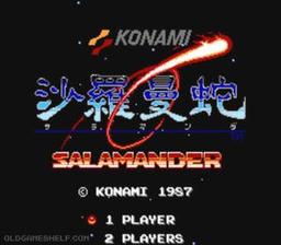 Salamander Jap online game screenshot 1