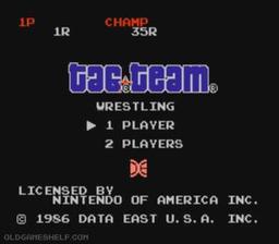 Tag Team Wrestling online game screenshot 2