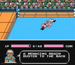 Tecmo World Wrestling online game screenshot 2