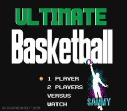 Ultimate Basketball online game screenshot 1