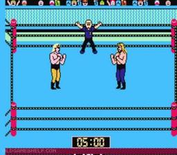 WCW Wrestling online game screenshot 2