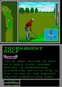 Arnold Palmer Tournament Golf scene - 7