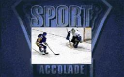 Brett Hull Hockey 95 online game screenshot 1