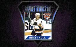 Brett Hull Hockey 95 online game screenshot 2