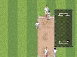 Brian Lara Cricket 96 scene - 5