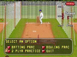 Brian Lara Cricket 96 online game screenshot 3