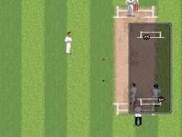 Brian Lara Cricket 96 scene - 6