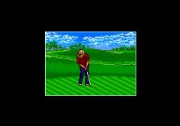 Chi Chi's Pro Challenge Golf online game screenshot 2