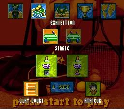 Davis Cup Tennis ~ Davis Cup World Tour online game screenshot 3