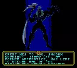 Double Dragon V - The Shadow Falls game screenshot 5 Double Dragon V - The Shadow Falls scene - 5