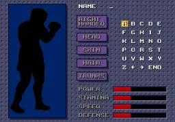 Evander Holyfield's 'Real Deal' Boxing online game screenshot 2