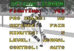 Mario Lemieux Hockey online game screenshot 3
