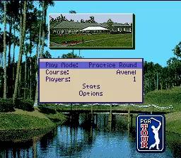 PGA Tour Golf III online game screenshot 2