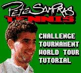 Pete Sampras Tennis online game screenshot 2