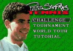Pete Sampras Tennis online game screenshot 1