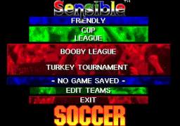 Sensible Soccer - European Champions online game screenshot 3