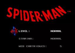 Spider-Man scene - 4