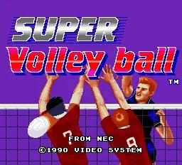Super Volleyball online game screenshot 1