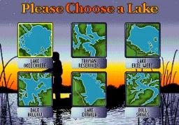 TNN Outdoors Bass Tournament '96 online game screenshot 3