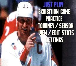 Wayne Gretzky and the NHLPA All-Stars online game screenshot 1