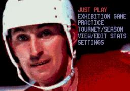 Wayne Gretzky and the NHLPA All-Stars game screenshot 6 Wayne Gretzky and the NHLPA All-Stars scene - 6