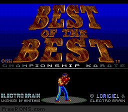 Best of the Best - Championship Karate-preview-image