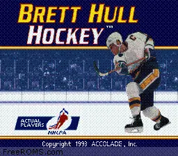 Brett Hull Hockey online game screenshot 2