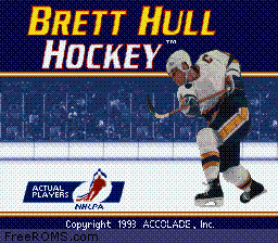 Brett Hull Hockey online game screenshot 1