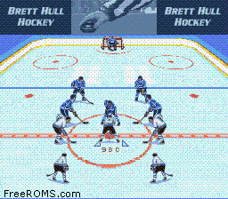 Brett Hull Hockey online game screenshot 1