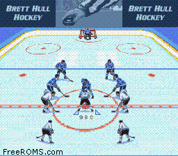 Brett Hull Hockey online game screenshot 2