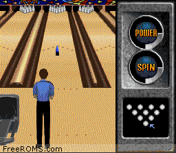 Brunswick World Tournament of Champions online game screenshot 2