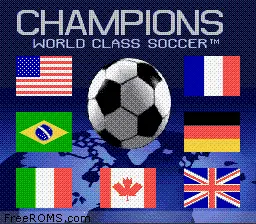 Champions World Class Soccer online game screenshot 1