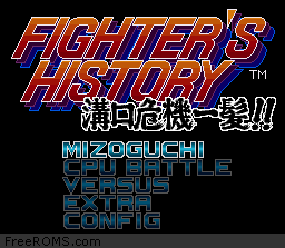 Fighter's History-preview-image