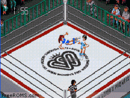 Fire Pro Joshi - All Star Dream Slam game screenshot 2 Fire Pro Joshi - All Star Dream Slam online game screenshot 2