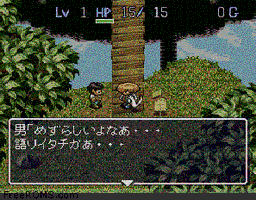 Fushigi no Dungeon 2 - Fuurai no Shiren game screenshot 2 Fushigi no Dungeon 2 - Fuurai no Shiren online game screenshot 2