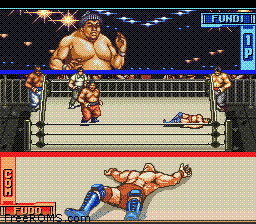 Hammerlock Wrestling online game screenshot 2