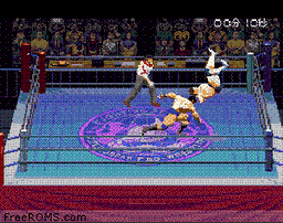 Jikkyou Power Pro Wrestling '96 - Max Voltage online game screenshot 2