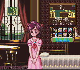 Princess Maker - Legend of Another World online game screenshot 2