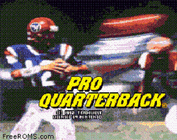 Pro Quarterback-preview-image