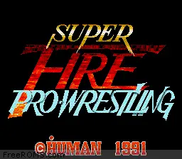 Super Fire Pro Wrestling online game screenshot 1