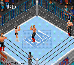 Super Fire Pro Wrestling online game screenshot 1