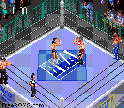 Super Fire Pro Wrestling III - Final Bout online game screenshot 2